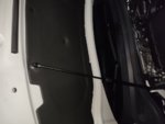 IMG_20201110_210957.jpg
